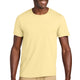 Surf Yellow