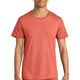 Sunset Coral