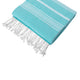 Aquamarine/ White