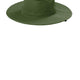 Olive Leaf