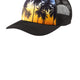 Palm Trees