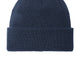 Insignia Blue