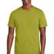 Golden Cypress Green