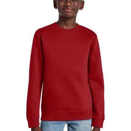 District ®  Youth V.I.T. ™  Fleece Crew DT6104Y
