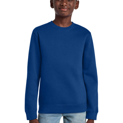 District ®  Youth V.I.T. ™  Fleece Crew DT6104Y