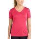 Hot Coral
