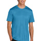 Turquoise Heather