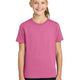 Awareness Pink