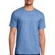 Carolina Blue Heather