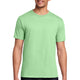 Spearmint