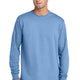 Carolina Blue