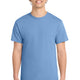 Carolina Blue