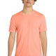 Soft Coral