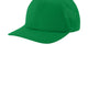 True Kelly Green