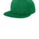 True Kelly Green
