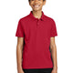 Rich Red