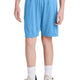 Carolina Blue/ White