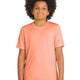 Soft Coral
